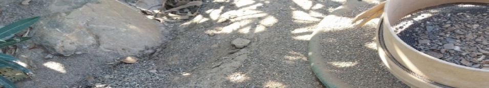 cabecera